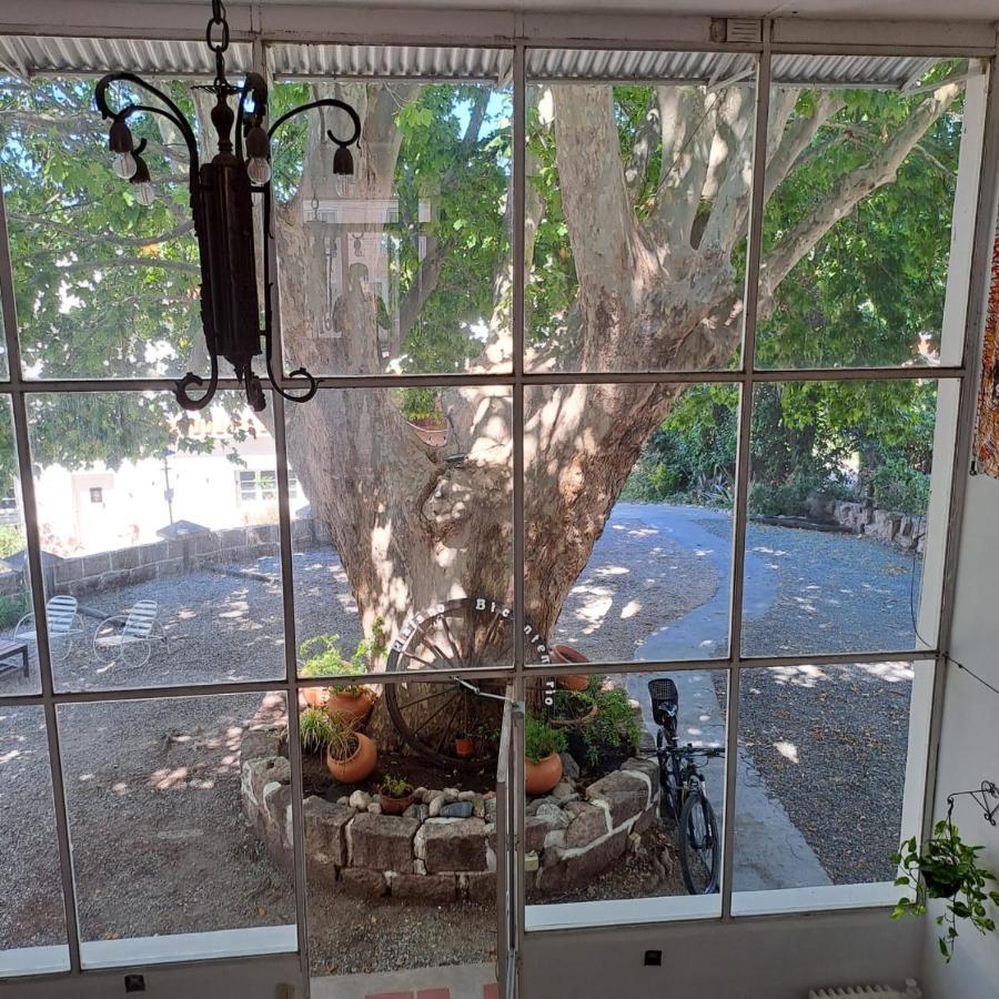 Posada Del Arbol Капилья-дель-Монте Экстерьер фото